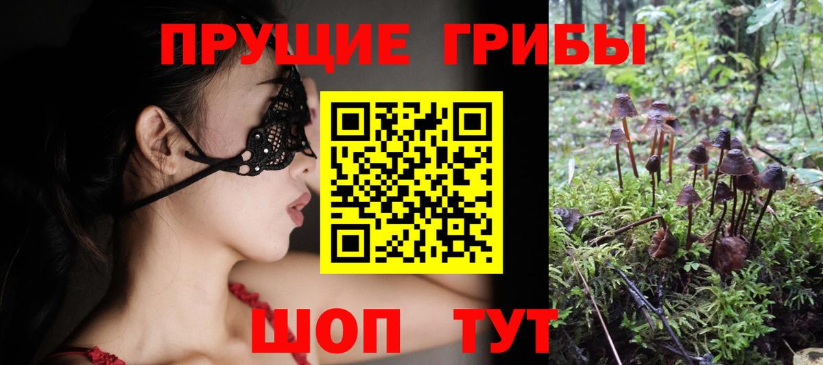 Галлюциногенные грибы GOLDEN TEACHER Тобольск