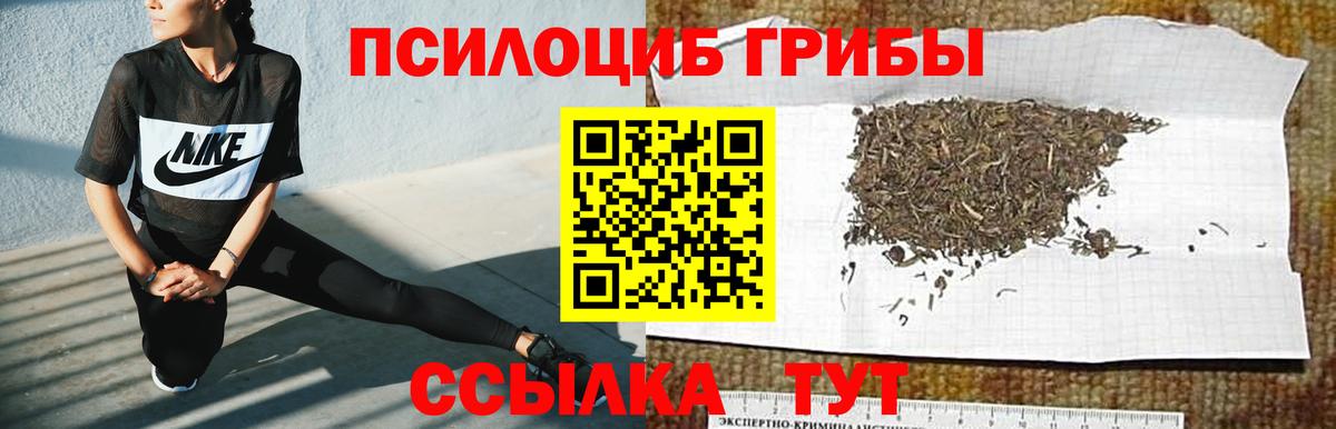 Псилоцибиновые грибы Magic Shrooms  Галлюциногенные грибы Cubensis  Тобольск  Вход с VPN 